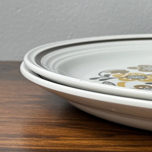 Folklore Ironstone Ware by Myott England 2 Dinner Plates 10" Brown Flowers - Picture 8 of 13